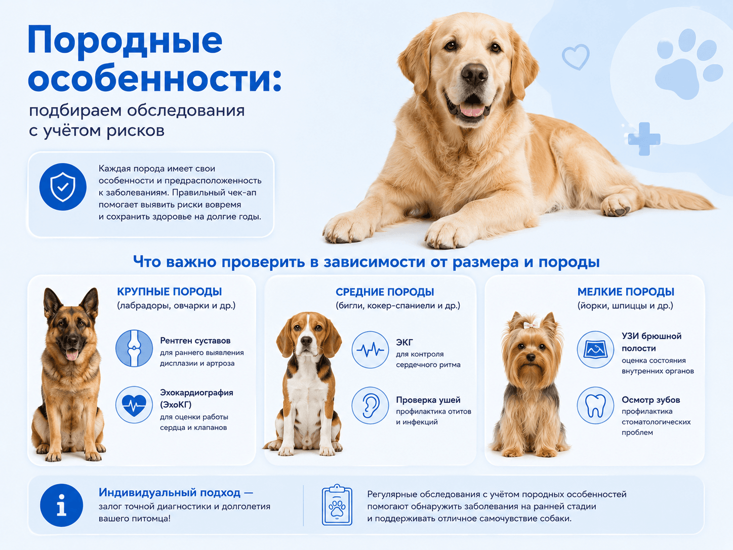 ветклиника москва