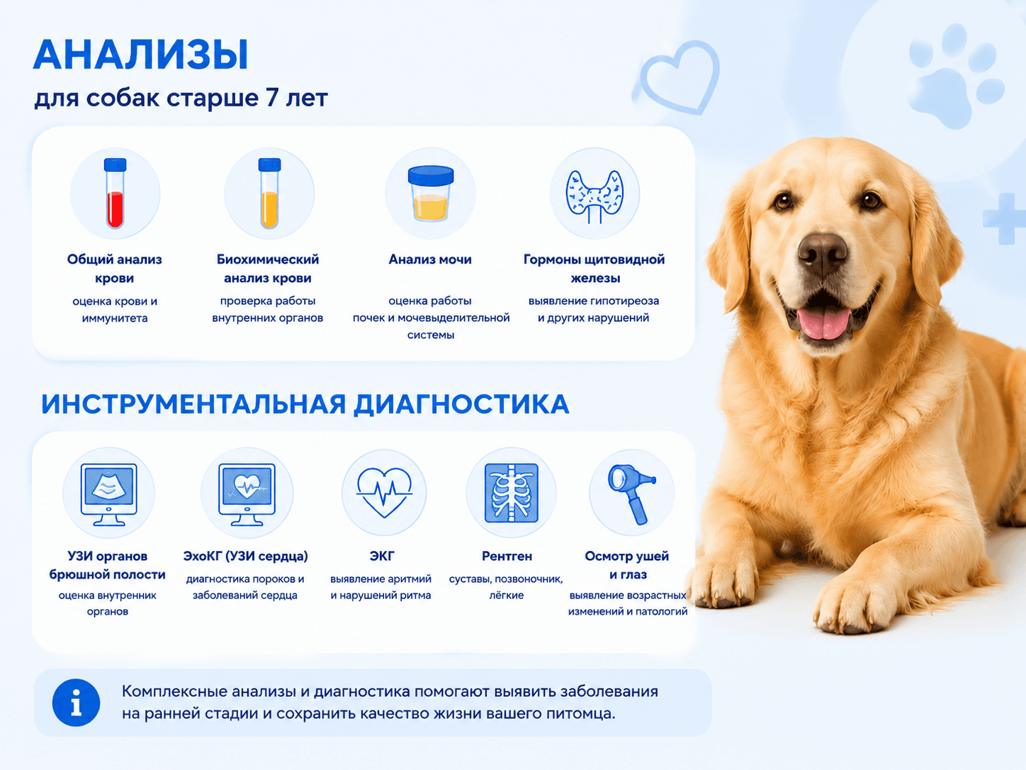 Анализы собаке в москве
