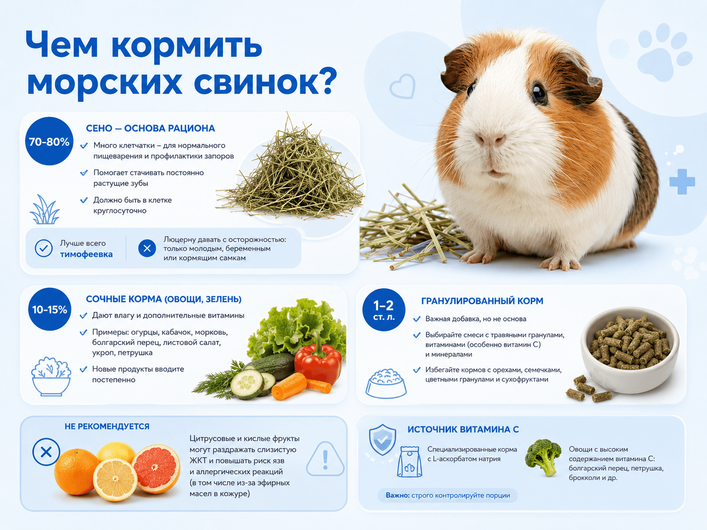 Чем кормить морских свинок
