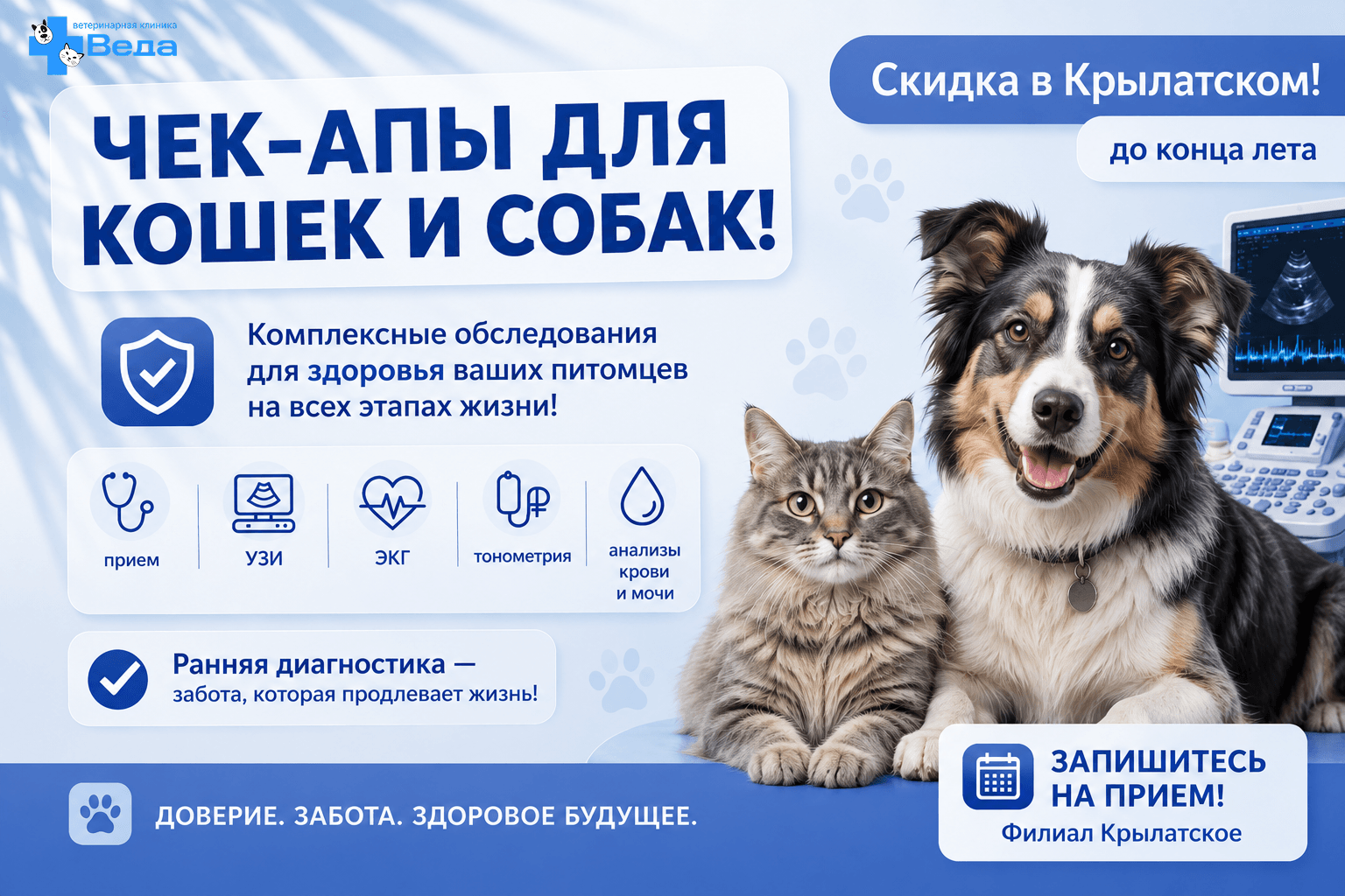 Чекап ля кошек и собак в Москве 