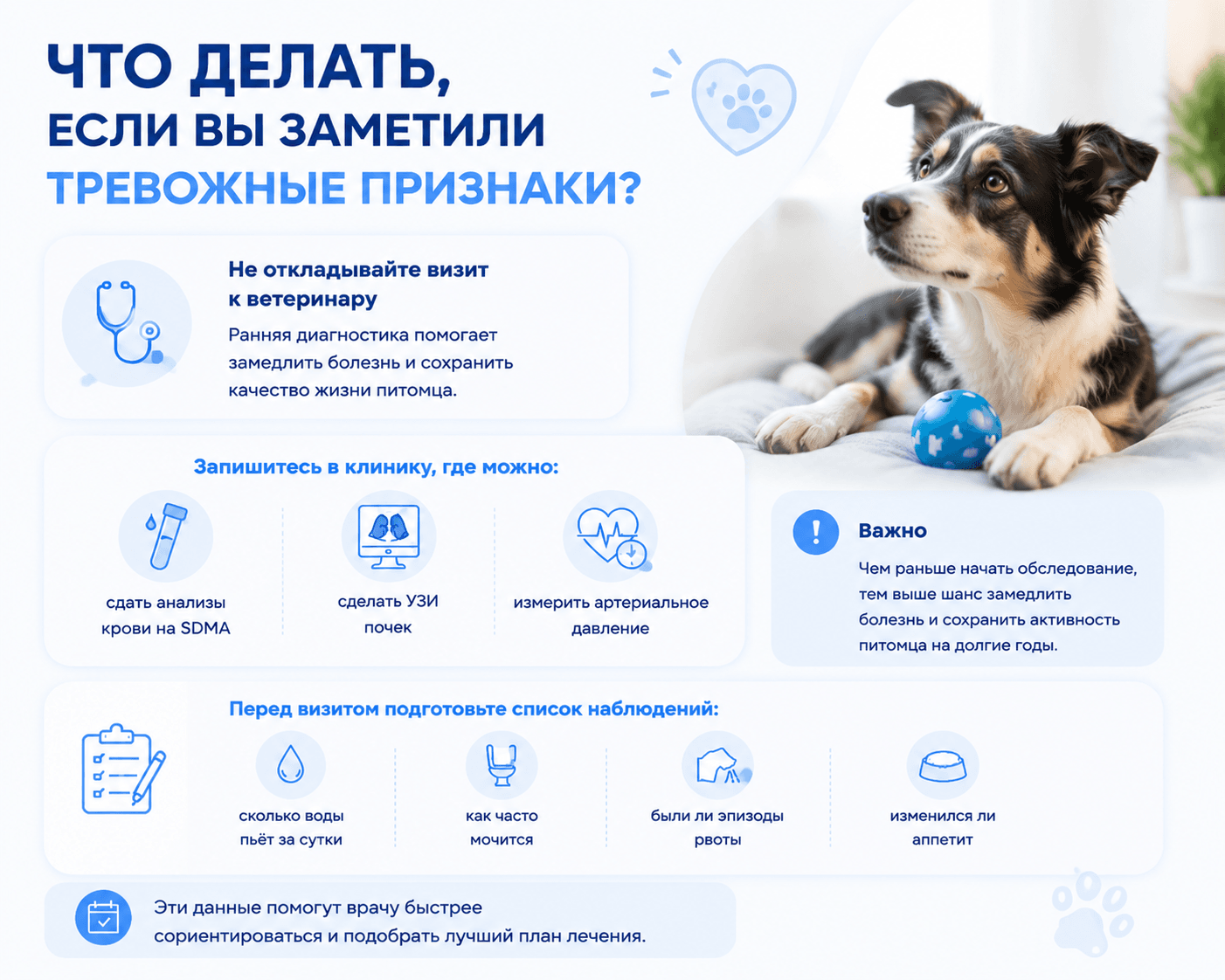 Нефролог для собак в Москве