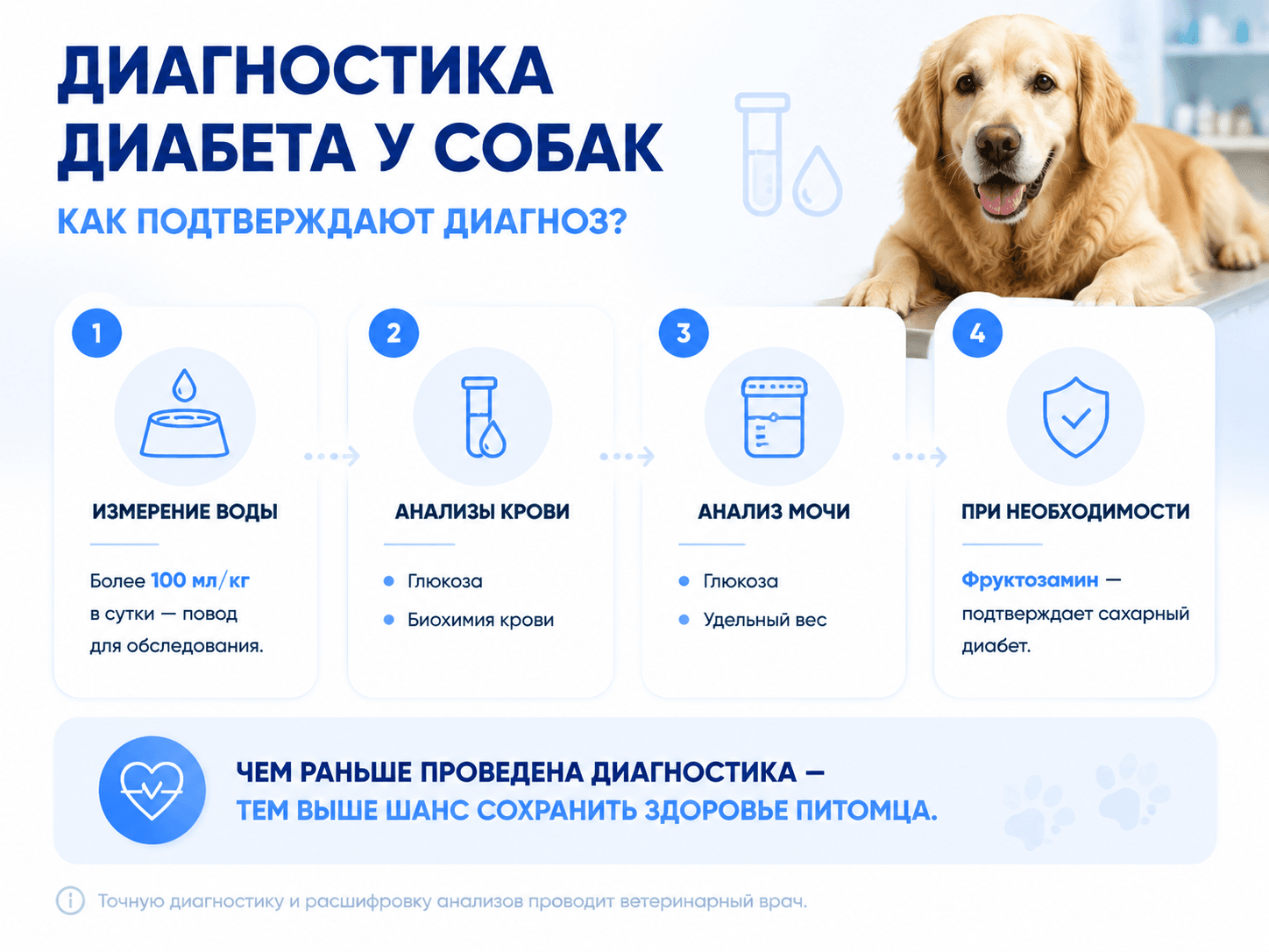 Диагностика диабета у собак
